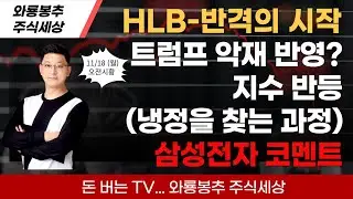 에이치엘비 - 반격의 시작? / 삼성전자 코멘트 / 미 - 트럼프 악재 반영? / 한 - 지수 반등(냉정을 찾는 과정)