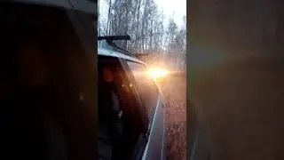 Гонки по лесу.