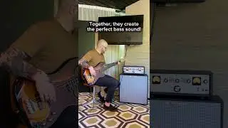 Eko Guitars x Ashdown Bass demo #ekoguitars #ashdown