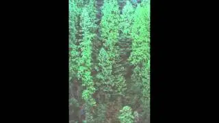 Fldexp - People Like Dust (Walkthoughts Extract)