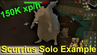 [OSRS] Scurrius Solo Kill Example with Scythe of Virtur