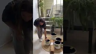 Когда нужны были только горшки для цветов😂