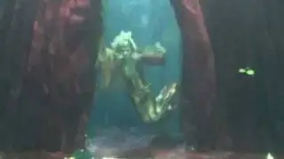 Theater Under Water