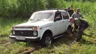 Перевал В Дятлово