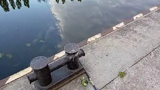 #Автор канала рыбачит рано утром на реке Преголя в "Рыбной" деревне"