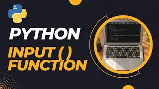 How to use the Python input() function | Basics of Python Programming