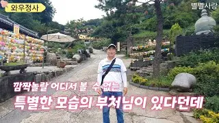 #와우정사 깜짝놀랄 어디서 볼수없는 특별한 모습의 부처님이 있다던데 ~용인 처인구 와우정사 8월8일