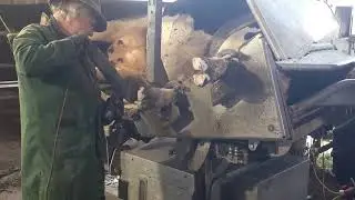 Кор дар Германия  тоза намудани нохунхои чорво.