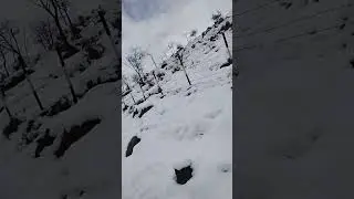 Today's Fresh Snowfall in Kashmir | Thanks For Almighty Allah