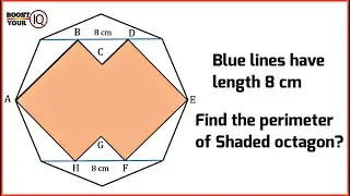 Find the perimeter of shaded octagon | toughest geometry problem | shaded octogen