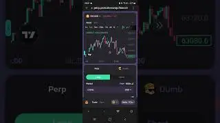 How To make money 1000x leverage trading