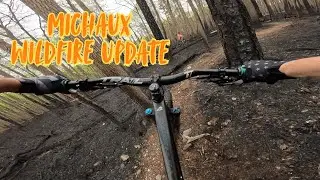 Michaux MTB - Wildlfire Update 2025 05 03