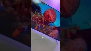 SMART TV DAEWOO 65"