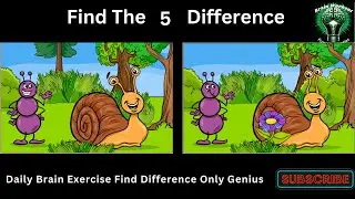 Dive into our exciting world of Spot the Difference
