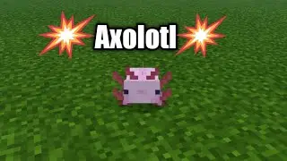 Axolotl new mob