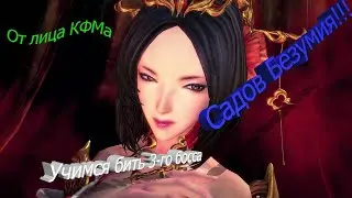 Blade&Soul Ласт босс Садов Безумия. Доходим до 20% ХП. Стримит КФМ в 3-м спэке (Черный Волк)