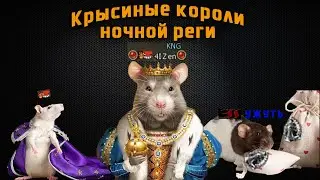 LineAge 2 Asterios x5 "Крысиные Короли ночной реги"