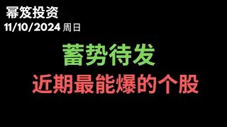 第1324期「幂笈投资」11/10/2024 moomoo