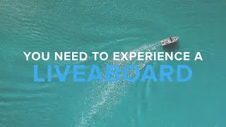 Why You NEED To Experience A Liveaboard | Deep Dive