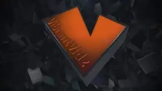 Custom Logo Intro on Fiverr | Professional Logo sting | Intro Outro