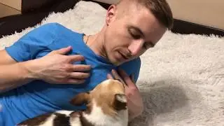 Чихуахуа Фунтик заговорил с Вовкой