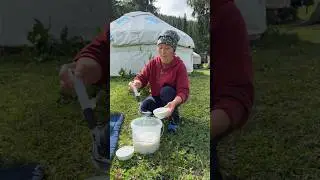#горы #kazakhstan #саумал #лошади #алматы #food #cooking #еда