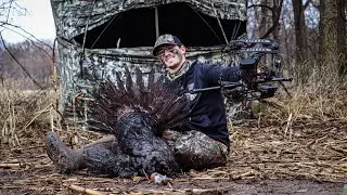 Opening Day Success