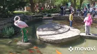 Одесский зоопарк!🐒🦆🐘🦚🦝13.04.2024
