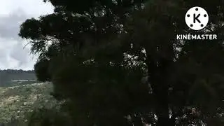 Beauty of Kodaikanal Hills || Tamilnadu State