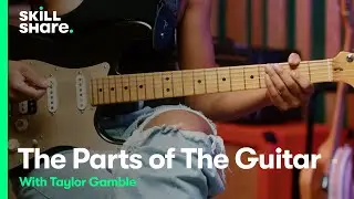 Guitar Anatomy: Learn the Parts of the Guitar