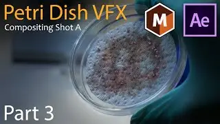 Compositing V-Ray EXR Passes in After Effects  — Petri Dish VFX Part 3 [Deprecated]