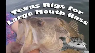 Pitching Texas Rigged Plastics for Early Spring Large Mouth Bass