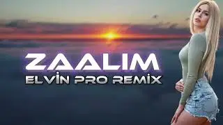 İndian Remix - ZAALIM ( Prod. Elvin Pro )