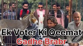 Pakistani Politcian || Ek Voter Ki Qeemat 💵 Ek Gadhe Sy Bhi Km Hain😳