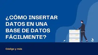 CÓMO INSERTAR DATOS EN UNA BASE DE DATOS CON 