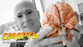 ЧТО БУДЕТ, КОГДА ТЫ УМРЕШЬ? / КАК УМИРАЕТ МОЗГ?