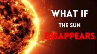 What If the Sun Disappeared? Explaining the Hypothetical Scenario.