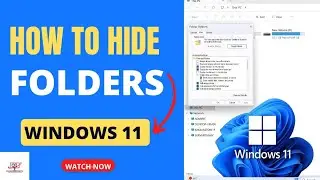 How To Hide Folders In Windows 11 | Show or Access Hidden Files