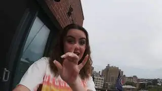 Chicago Midsommar Fest with CATFIGHT - Sarah's Vlog #5