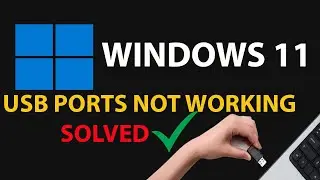 How to Fix USB Ports Not Working in Windows 11[Solved]