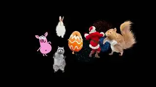 Merry Christmas  #merrychristmas 