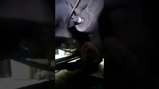 Меняю сайлентблоки газель часть 1