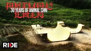 Animal Chin 30 Years  - Building The Chin Ramp 1/4
