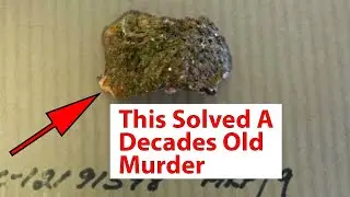 5 Cold Cases Solved Years Later | True Crime Documentary