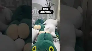 흰둥이 대형인형뽑기 #인형뽑기 #짱오락실 #뽑기 #뽑기뽀끼 #짱구 #흰둥이 #뽑기꿀팁 #광주오락실 #오락실 #광주데이트 #clawmachine  #cranegame