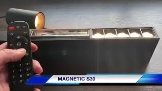22  MAGNETIC S39