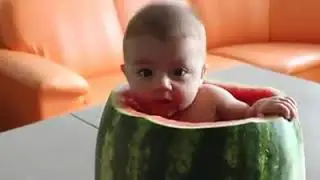 Арбуз мой дом. А где крыша ???😓