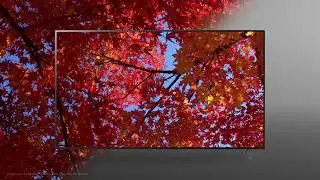 This is LG Nano Cell TV – LG USA 2020