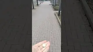 Порядок на парковках в Германии