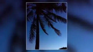 [FREE] Smooth Guitar Beat 2021 